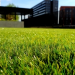 Landscaping & Amenity Turf Blends